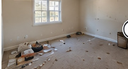 Illustrative before condition for living area turnover